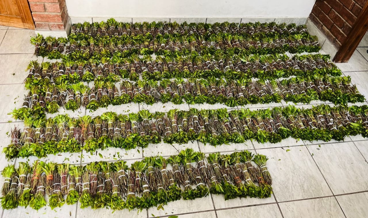 Central Karoo police confiscate 348 bundles of khat on N1 during SFS operations