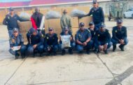 Suspects arrested and 78 boxes of dagga and 9mm live rounds of ammunition confiscated