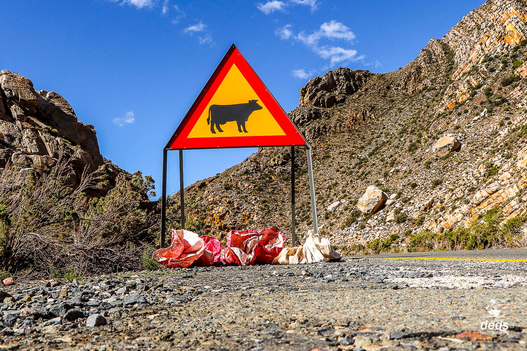 A vehicle collided with a cow and overturned on the R30, approximately 5 km from Brandfort in the direction of Theunissen