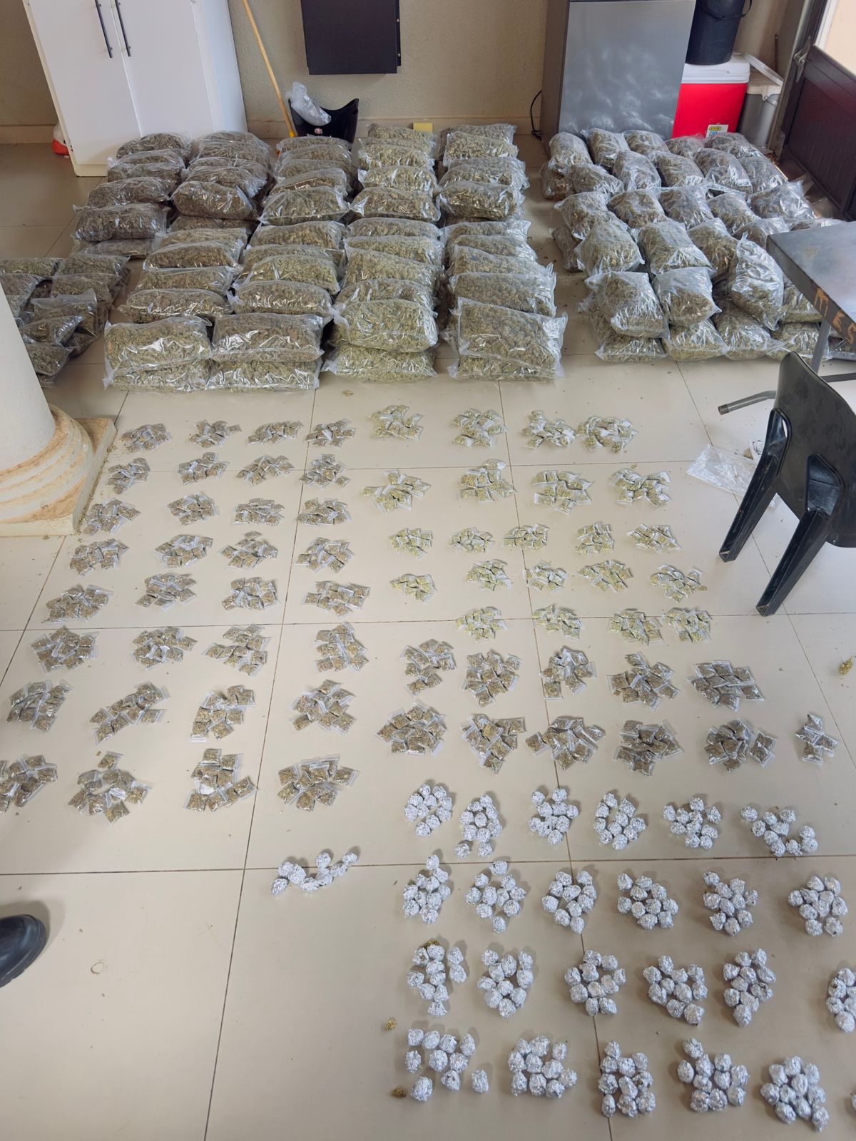 Six suspects will appear before Nebo and Jane Furse magistrate's court for possession of unlicensed firearm, ammunition and dealing in drugs