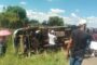 Persisting Rainfall And Operational Update In The Kruger National Park