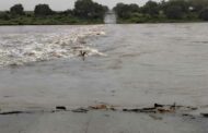 Persisting Rainfall And Operational Update In The Kruger National Park