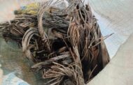 Illegal foreigner arrested in the possession of suspected stolen copper