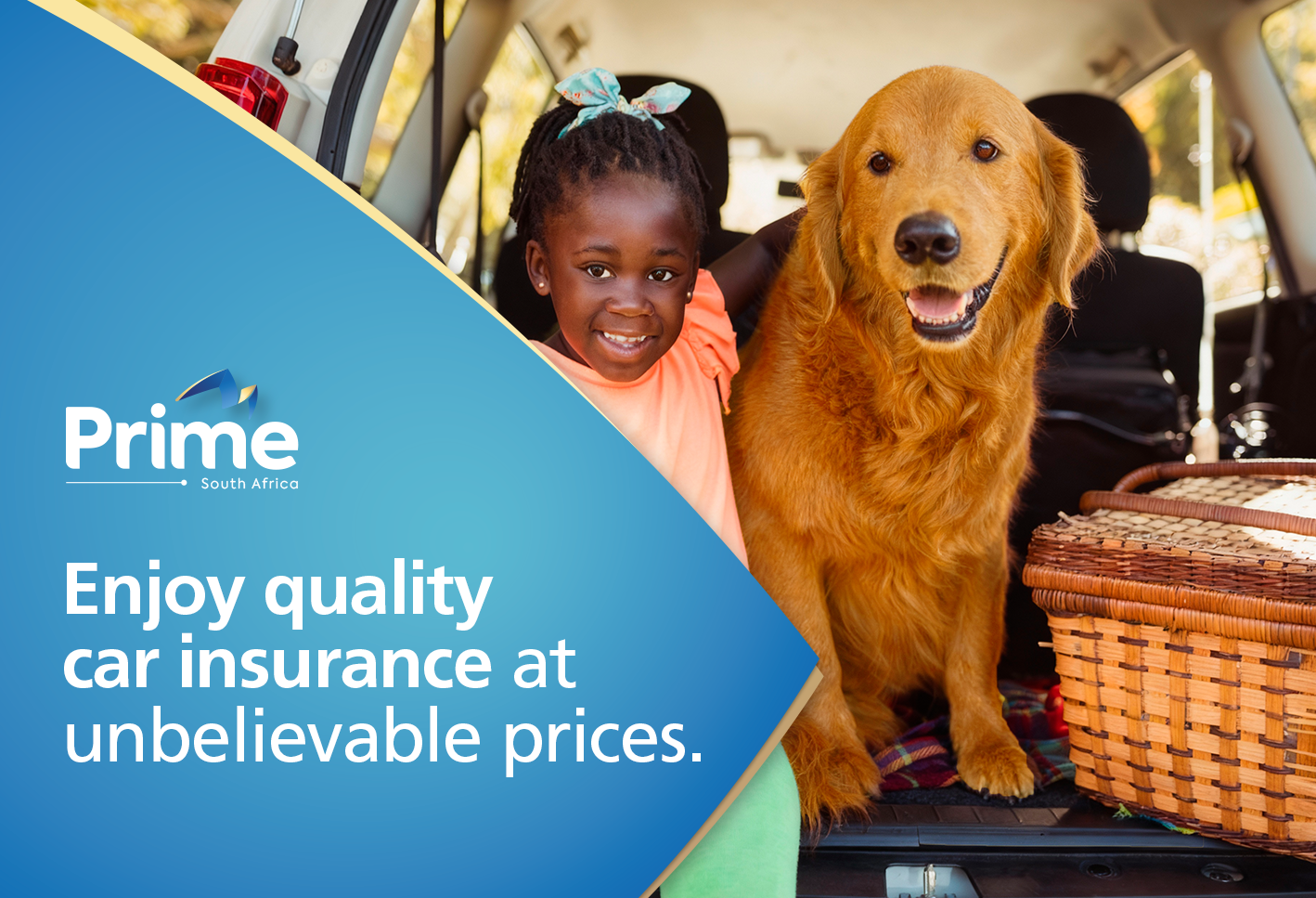 Safe Travel With Pets: Practical Tips for Drivers