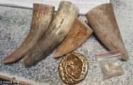 Suspect arrested transporting rhino horns, unpolished diamonds and gold