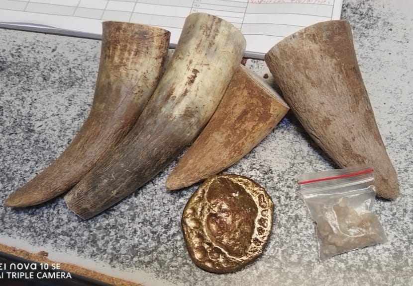 Suspect arrested transporting rhino horns, unpolished diamonds and gold