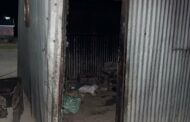 Stock theft suspect arrested in Loxton