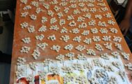 Drug-dealing suspect arrested suspect by Chris Hani District Task team at Mnxe Administration Area, Cala