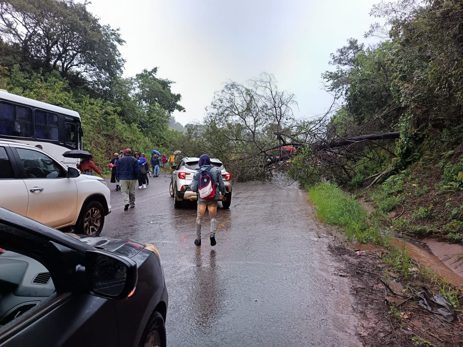 The R523 road near Thate in the Vhembe District is partially blocked due to flooding