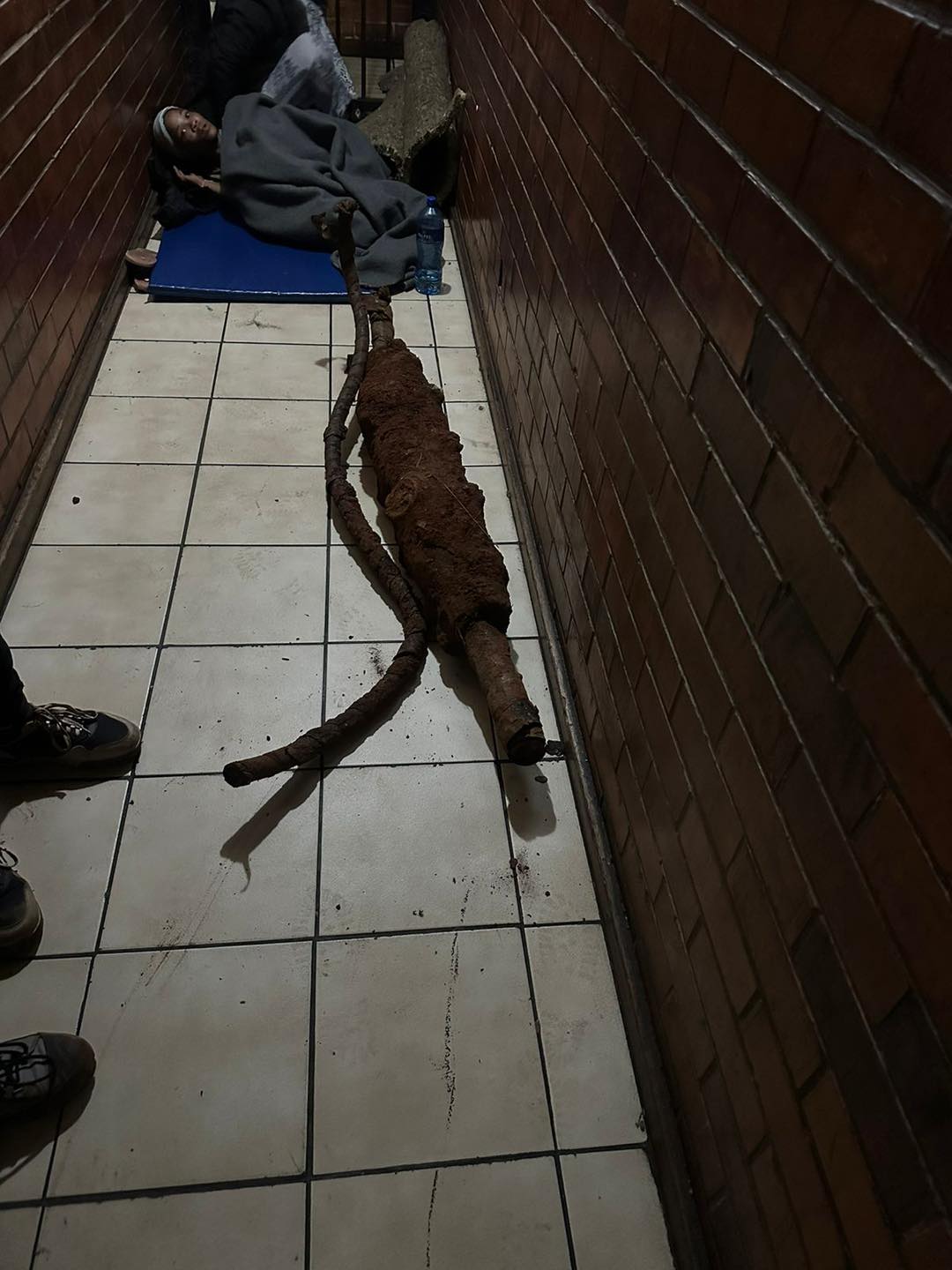 Tshwane Metro Police Department (TMPD) Cable Theft Unit Makes Significant Arrests in the City's Infrastructure Theft Cases