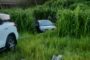 Theft Of Motor Vehicle: Durban - KZN