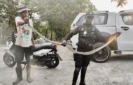 Black Mamba Captured In Residential Garage: Tongaat - KZN