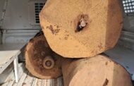 Police target illegal mining activities in the areas of Sabie, Pilgrim's Rest, Graskop, and Ngodwane