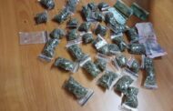 Operation Shanela II conducted across the Mpumalanga Province