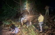 Serious Crash on M13 Eastbound between Plantations offramp and Toyota offramp