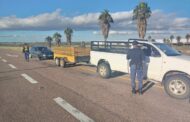 Zero tolerance policing in the Northern Cape resulted in the arrest of 163 individuals during a weeklong #OperationShanela 2