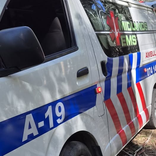 Successful resuscitation in Howick