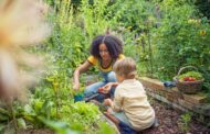 5 Easy Steps to Create a Thriving Haven for Birds, Bees and Biodiversity