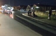 Cow Shot Dead: Phoenix - KZN