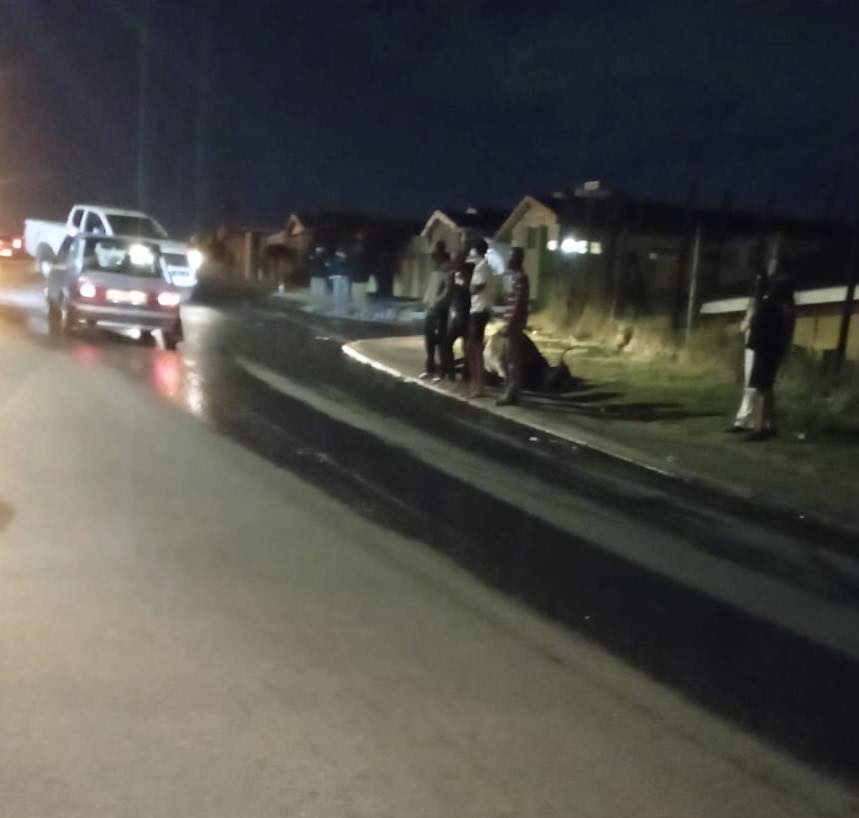 Cow Shot Dead: Phoenix - KZN