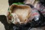 Suspect arrested and crystal meth uncovered