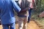 Man arrested after a video went viral on social media of him assaulting a woman earlier in Dinokana Village, Lehurutshe, near Zeerust