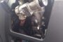 Attempted Theft Of Rental Car: Phoenix - KZN