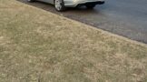 Stolen vehicle recovered and a suspect arrested in Primrose