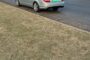 Stolen vehicle recovered and a suspect arrested in Primrose