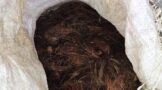 Suspect arrested for possession of suspected stolen copper cables