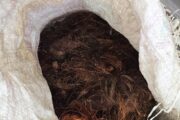 Suspect arrested for possession of suspected stolen copper cables