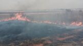 A vegetation fire was contained in Kempton Park