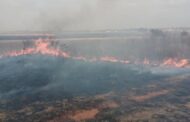 A vegetation fire was contained in Kempton Park