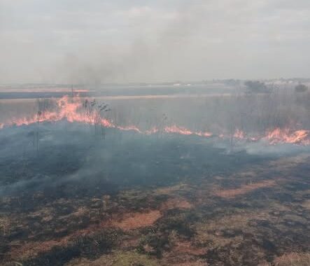 A vegetation fire was contained in Kempton Park