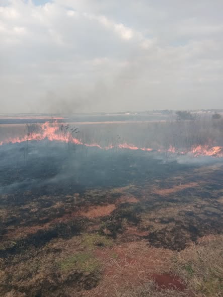 A vegetation fire was contained in Kempton Park