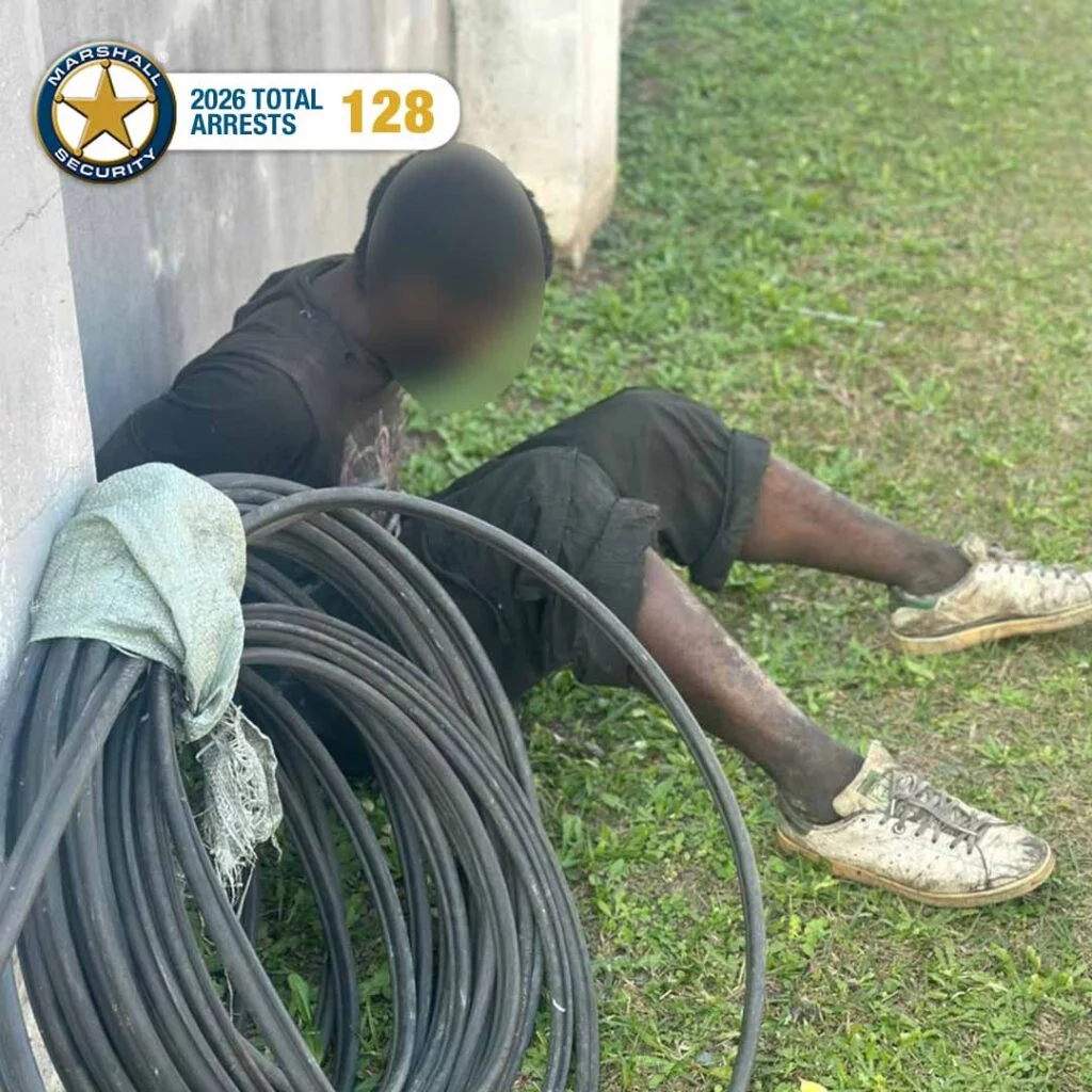 Copper cable theft suspect arrested in the Sea Cow Lake area