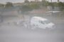 Seventeen Goats Stolen Over Two Days: Tongaat - KZN