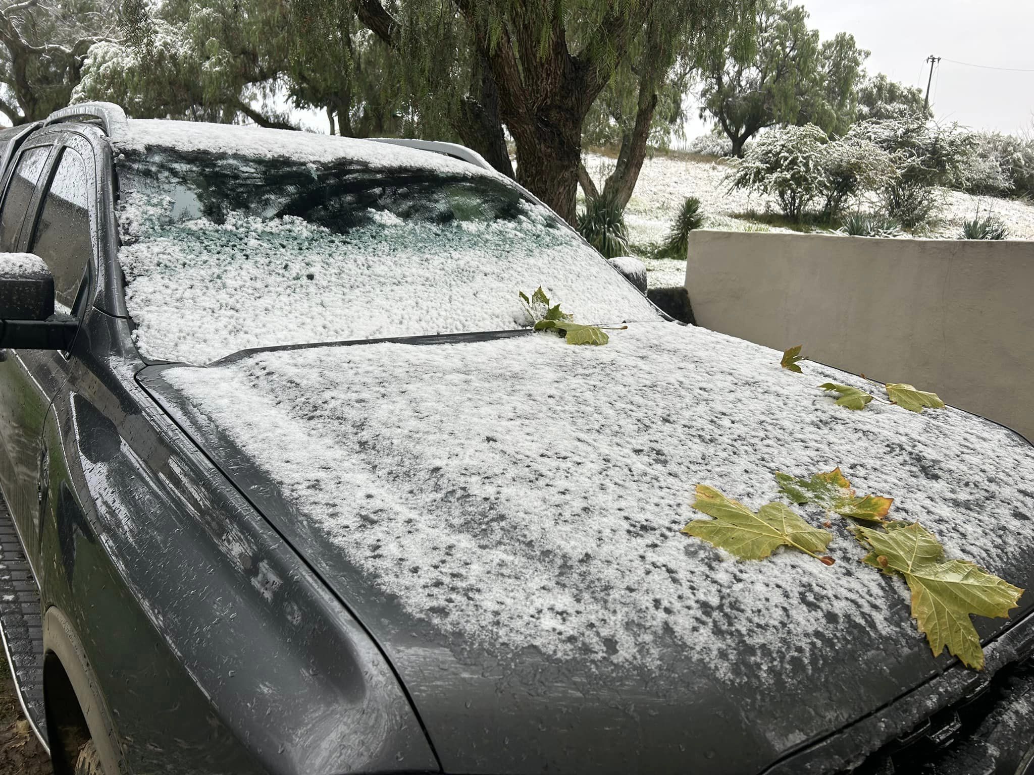 Avoid Costly Winter Breakdowns with These Essential Vehicle Checks