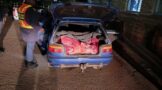 A suspect was for possession of suspected stolen meat during a high-density operation