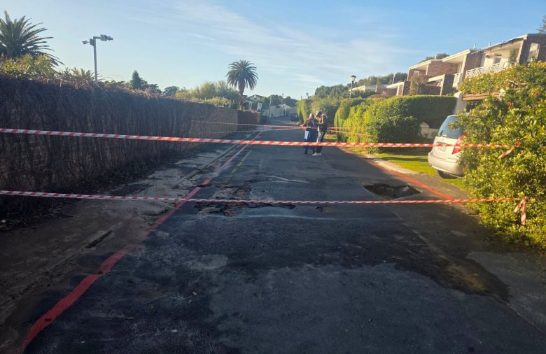 Public Notice - Seaforth / Boulders Penguin Colony Access