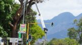 The serious danger of cutting trees near power lines