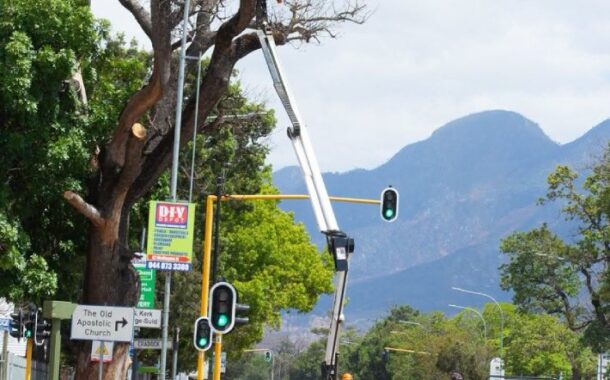 The serious danger of cutting trees near power lines