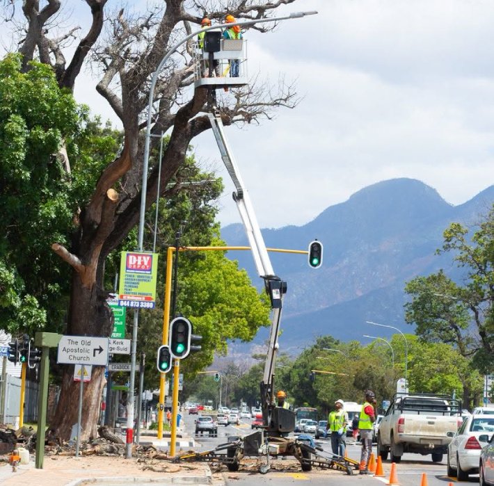 The serious danger of cutting trees near power lines