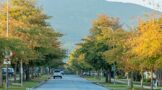 Enforcement of speeding in George's residential areas